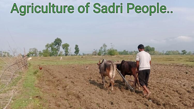 Agriculture 