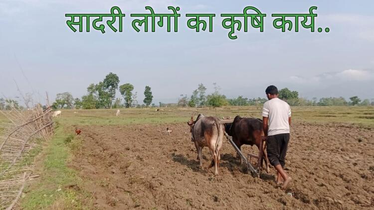 Agriculture 