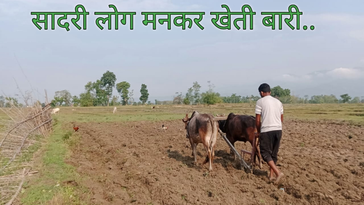 खेती बारी 