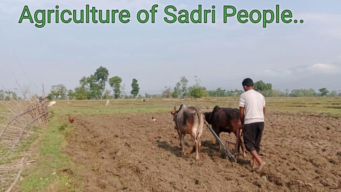 Agriculture