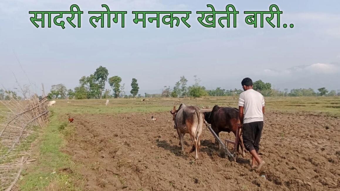 खेती बारी